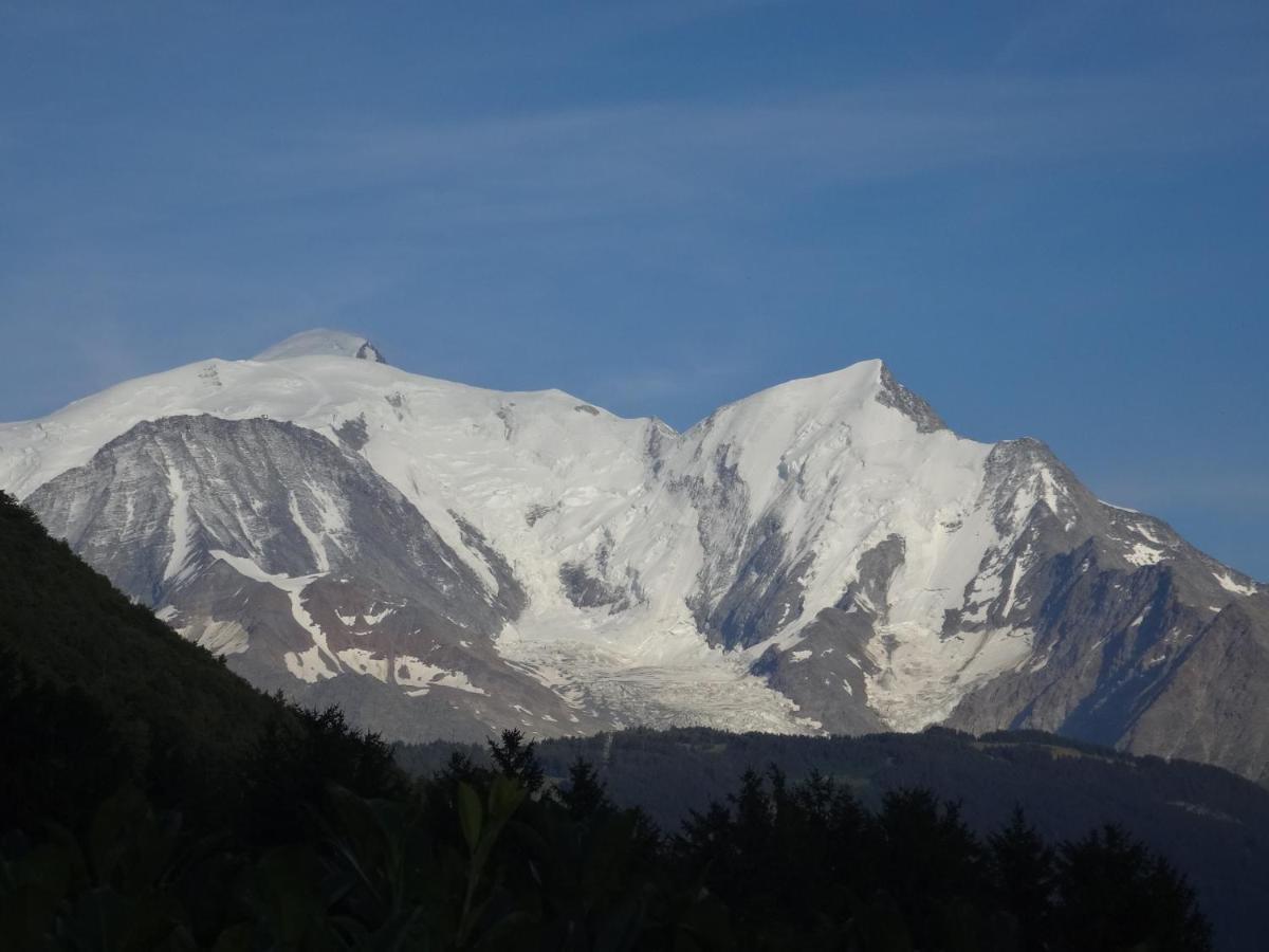 סלאנש Mont Blanc Holidays Dans Residence Avec Gardien מראה חיצוני תמונה