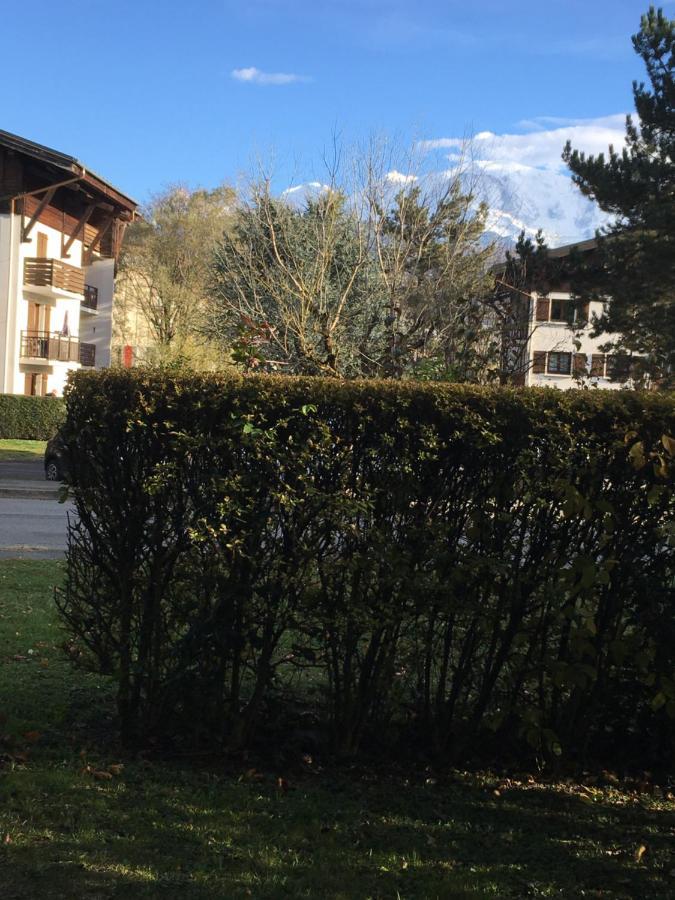 סלאנש Mont Blanc Holidays Dans Residence Avec Gardien מראה חיצוני תמונה